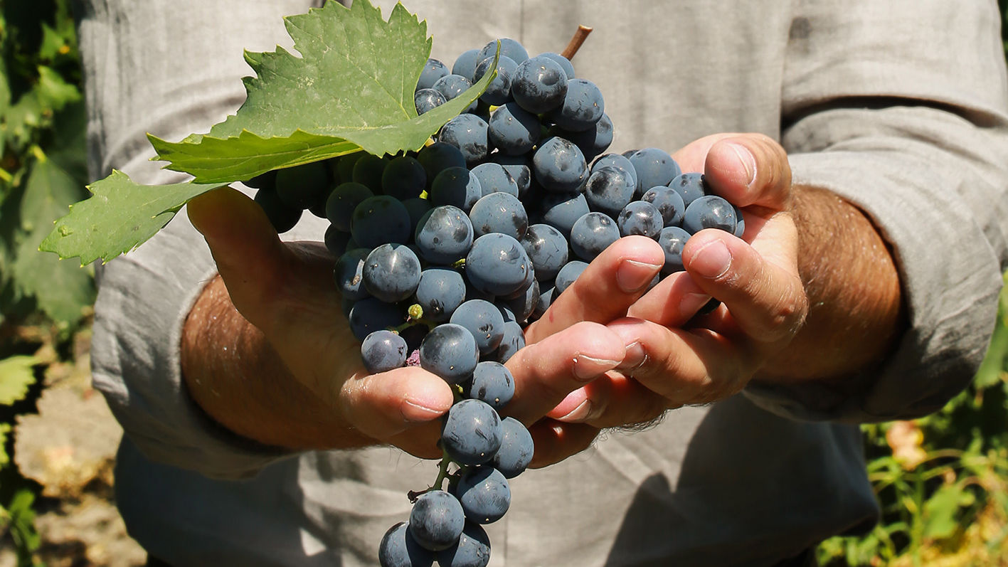 Wine History of Azerbaijan