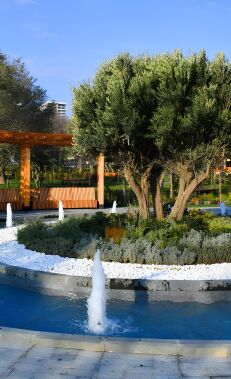 From the Nobels' garden | to a city park