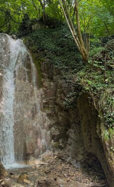 On the way to Gurjana Waterfall