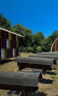Journey into the world of bees and honey
