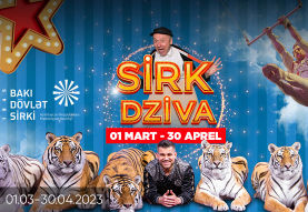 The circus show "DZIVA"