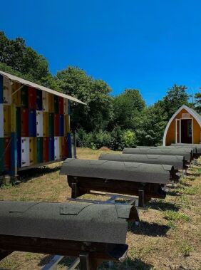 Journey into  the world of bees and honey
