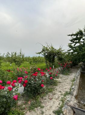 Agritourism haven at Sheki’s Bio Garden