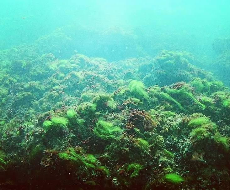 diving in Azerbaijan Azerbaijan Travel