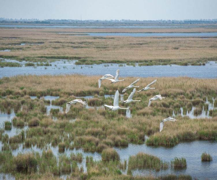 Explore Lankaran's nature reserves | Azerbaijan Travel