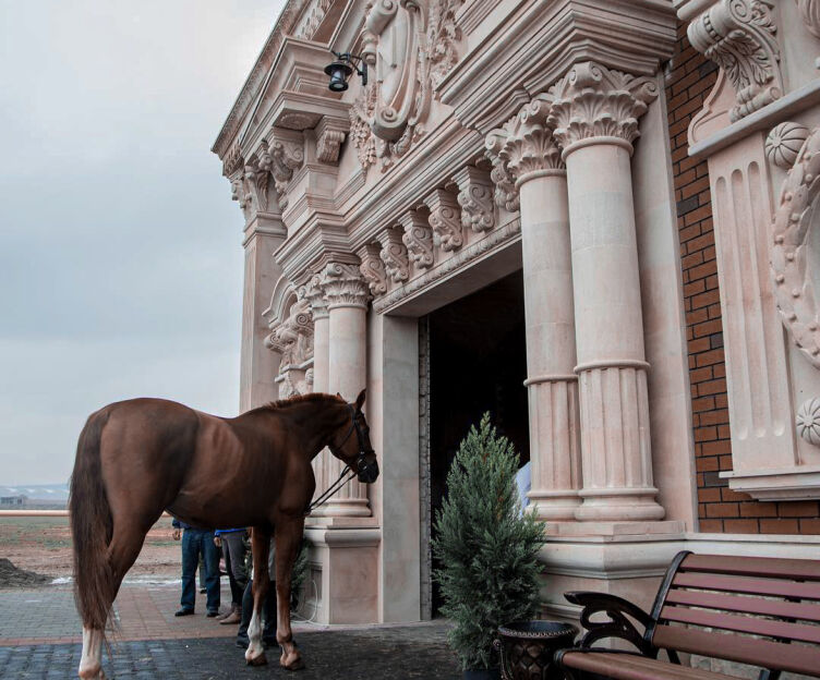 Horse riding in Baku Azerbaijan.Travel