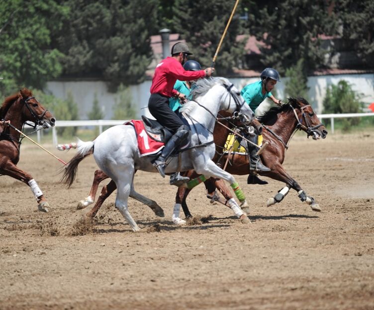 Horse riding in Baku Azerbaijan.Travel