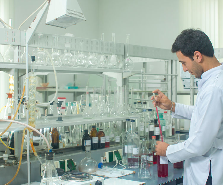 Wine History of Azerbaijan